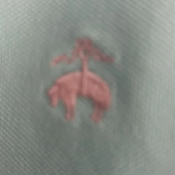 NWT Brooks Brothers Polo Shirt - Small - Picture 3 of 5